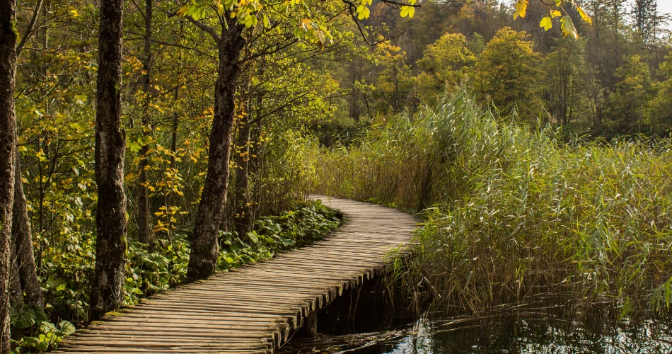 Best Outdoor Activities in Burbank, United States: Parks, Hiking & Scenic Spots